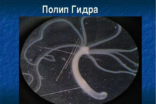 Блэкспрут зеркало кракен