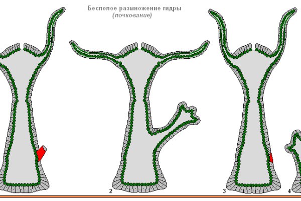 Кракен без впн