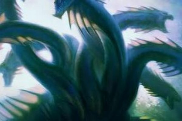 Kraken onion link