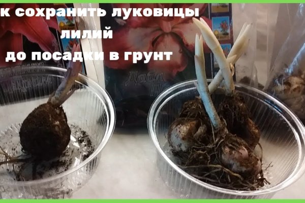 Кракен сайт как выглядит