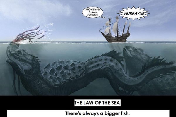 Kraken 19at