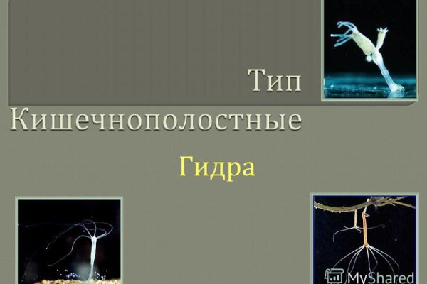 Купон кракен даркнет