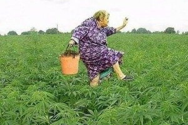 Можно вывести деньги с кракена