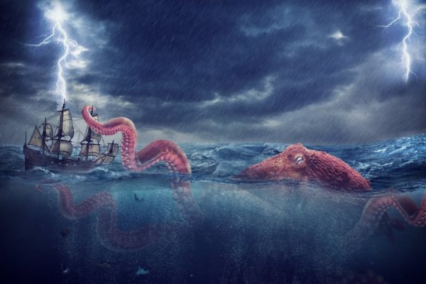 Kraken 24 at